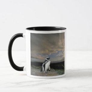 Südamerika, Chile, Patagonia, Magellanes, Tasse
