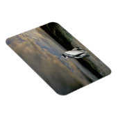 Südamerika, Chile, Patagonien, Magellanes, Magnet (Rechte Seite)