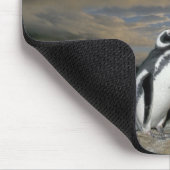 Südamerika, Chile, Patagonien, Magellanes, Mousepad (Ecke)