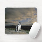 Südamerika, Chile, Patagonien, Magellanes, Mousepad (Mit Mouse)
