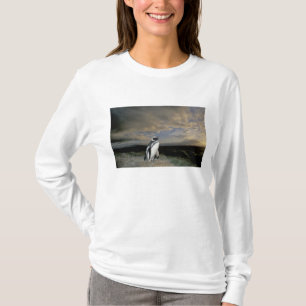 Südamerika, Chile, Patagonien, Magellanes, T-Shirt