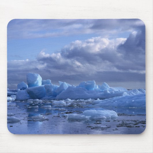 Südamerika, Chile, San Rafael Lagoon NP. Mousepad (Vorne)