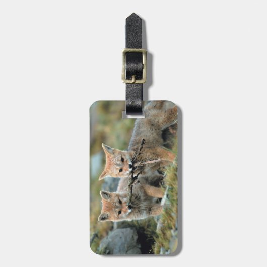 Südamerika, Chile, Torres del Paine National Gepäckanhänger (Vorderseite vertikal)