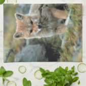 Südamerika, Chile, Torres del Paine National Handtuch (Gefaltet)