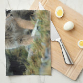 Südamerika, Chile, Torres del Paine National Handtuch (Viertel Falte)