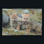 Südamerika, Chile, Torres del Paine National Handtuch<br><div class="desc">COPYRIGHT Art Wolfe / DanitaDelimont.com | NA02 AWO0012.jpg | Südamerika,  Chile,  Torres del Paine Nationalpark. Baby Fox</div>