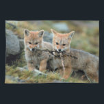 Südamerika, Chile, Torres del Paine National Handtuch<br><div class="desc">COPYRIGHT Art Wolfe / DanitaDelimont.com | NA02 AWO0012.jpg | Südamerika,  Chile,  Torres del Paine Nationalpark. Baby Fox</div>
