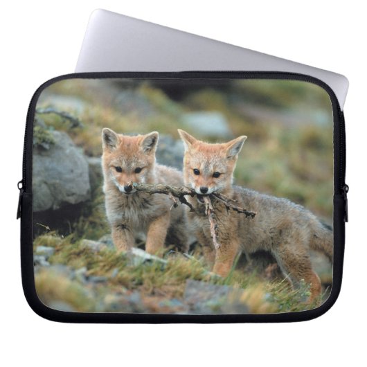 Südamerika, Chile, Torres del Paine National Laptopschutzhülle (Vorderseite)