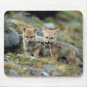 Südamerika, Chile, Torres del Paine National Mousepad