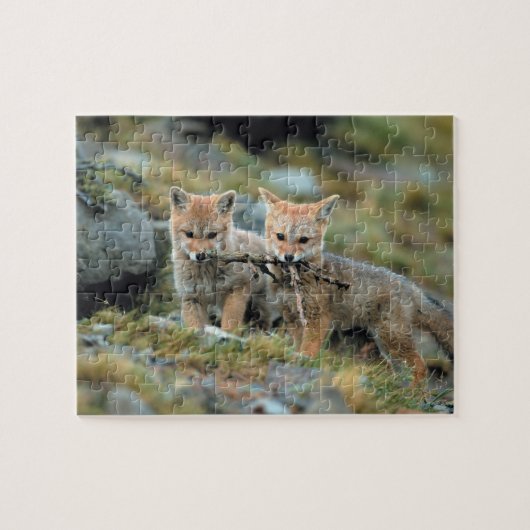 Südamerika, Chile, Torres del Paine National Puzzle (Horizontal)