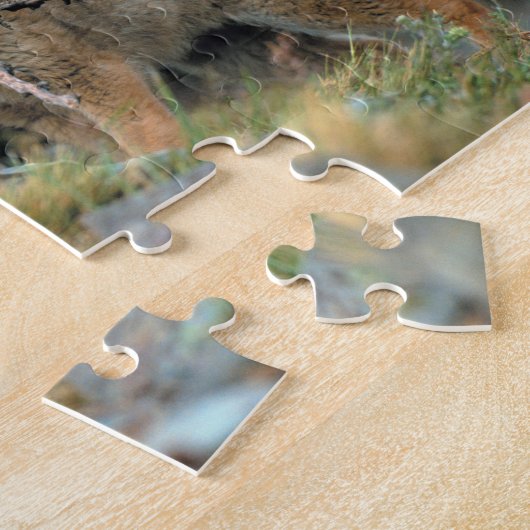 Südamerika, Chile, Torres del Paine National Puzzle (Seite)