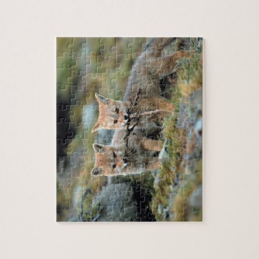 Südamerika, Chile, Torres del Paine National Puzzle (Vertikal)