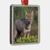 Südamerika, Chile, Torres del Paine NP Silbernes Ornament (Rechts)