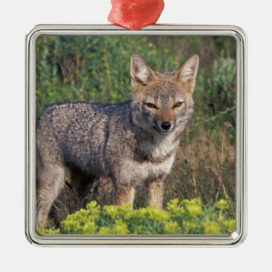 Südamerika, Chile, Torres del Paine NP Silbernes Ornament