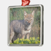 Südamerika, Chile, Torres del Paine NP Silbernes Ornament (Links)