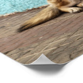 Südamerika, Chile, Valparaiso. Deutsch Poster (Ecke)