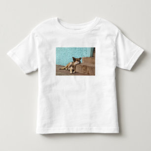 Südamerika, Chile, Valparaiso. Deutscher Kleinkind T-shirt