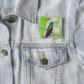 Südamerika, Costa Rica, Sarapiqui, La Selva Button (Beispiel)