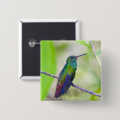 Südamerika, Costa Rica, Sarapiqui, La Selva Button (Vorne & Hinten)