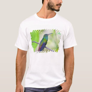 Südamerika, Costa Rica, Sarapiqui, La Selva T-Shirt