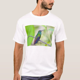 Südamerika, Costa Rica, Sarapiqui, La Selva T-Shirt