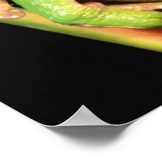 Südamerika, Ecuador, Amazonas. Blattgrün Poster (Ecke)