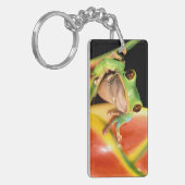 Südamerika, Ecuador, Amazonas. Blattgrün Schlüsselanhänger (Vorderseite links)