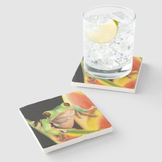 Südamerika, Ecuador, Amazonas. Blattgrün Steinuntersetzer (Seitenansicht)