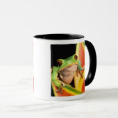 Südamerika, Ecuador, Amazonas. Blattgrün Tasse (VorderseiteRechts)