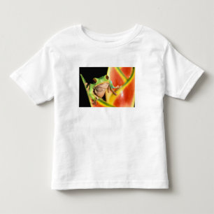 Südamerika, Ecuador, Amazonas. Laubfrosch Kleinkind T-shirt