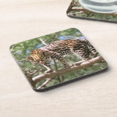 Südamerika, Ecuador, Amazonas. Ocelot Getränkeuntersetzer (Linke Seite)