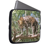 Südamerika, Ecuador, Amazonas. Ocelot Laptopschutzhülle (Vorne Rechts)