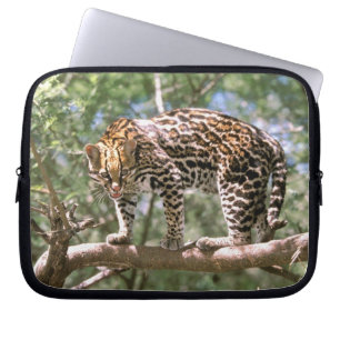 Südamerika, Ecuador, Amazonas. Ocelot Laptopschutzhülle
