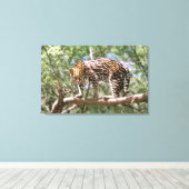 Südamerika, Ecuador, Amazonas. Ocelot Leinwanddruck (Insitu (Holzboden))
