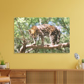 Südamerika, Ecuador, Amazonas. Ocelot Leinwanddruck (Insitu (Wohnzimmer))