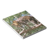 Südamerika, Ecuador, Amazonas. Ocelot Notizblock (angewinkelt)