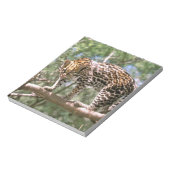 Südamerika, Ecuador, Amazonas. Ocelot Notizblock (Rotiert)