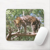 Südamerika, Ecuador, Amazonas. Ozelot Mousepad (Mit Mouse)