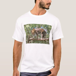 Südamerika, Ecuador, Amazonas. Ozelot T-Shirt
