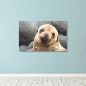 Südamerika, Ecuador, Galapagos-Inseln Leinwanddruck (Insitu (Holzboden))