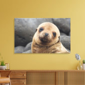 Südamerika, Ecuador, Galapagos-Inseln Leinwanddruck (Insitu (Wohnzimmer))