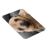 Südamerika, Ecuador, Galapagos-Inseln Magnet (Rechte Seite)