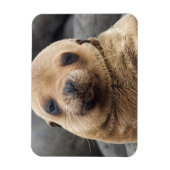 Südamerika, Ecuador, Galapagos-Inseln Magnet (Vertikal)