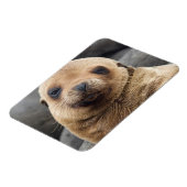 Südamerika, Ecuador, Galapagos-Inseln Magnet (Linke Seite)