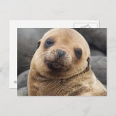 Südamerika, Ecuador, Galapagos-Inseln Postkarte (Vorne/Hinten)