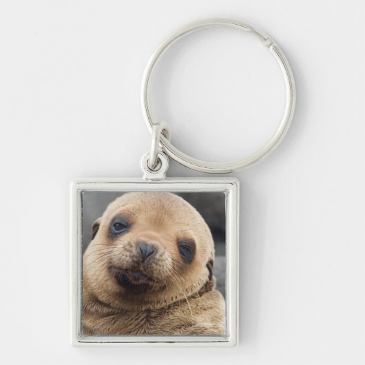 Südamerika, Ecuador, Galapagos-Inseln Schlüsselanhänger (Vorne)