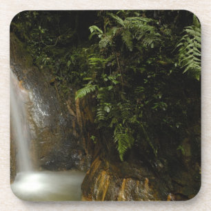 Südamerika, Ecuador, Osthang der Getränkeuntersetzer