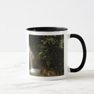 Südamerika, Ecuador, Osthang der Tasse