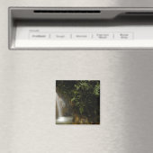 Südamerika, Ecuador, östlicher Abhang der Magnet (In Situ (Geschirrspüler))