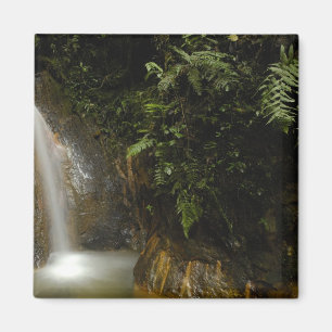 Südamerika, Ecuador, östlicher Abhang der Magnet